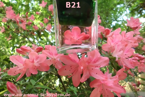 B21 mit Blüten