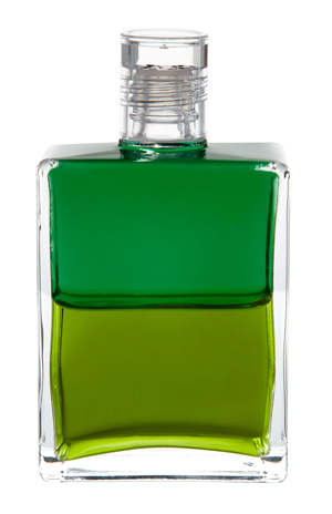 bottle 113 - Neue Aura-Soma Equilibrium-Flaschen