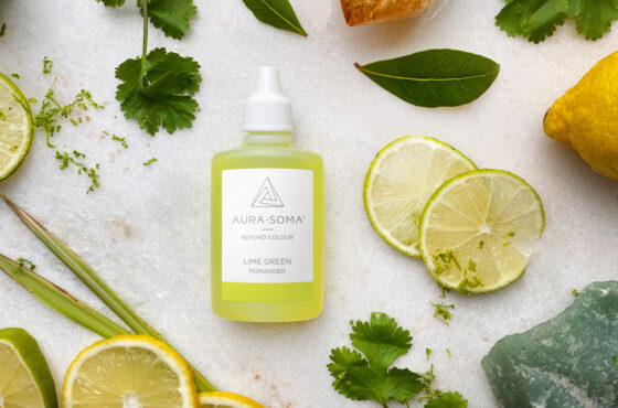 limonengrüner Aura-Soma Pomander abgebildet mit Limonen und Zitronen und Kräutern